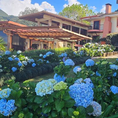 Finca Paraiso Galerie