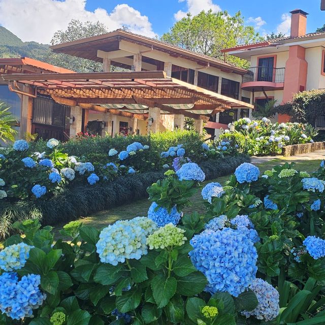 Finca Paraiso Galerie