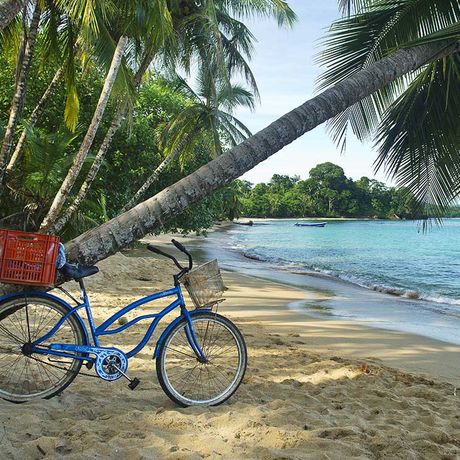 Eine weite Bucht mit hellem Sandstrand und einer Palme im Vordergrund, an die ein Fahrrad gelehnt ist