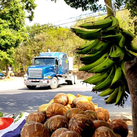 Auf Ihrer Reise durch Costa Rica werden Sie viele Straßenstände mit exotischen Früchten wie Mango, Papaya und Kokosnüsse entdecken.