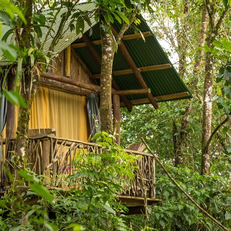 La Tigra Rainforest Lodge Galerie Seitenansicht Balkon im Regenwald