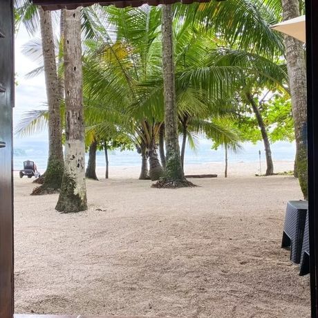 Hotel Macao Beach Galerie Ausblick auf Strand mit Palmen