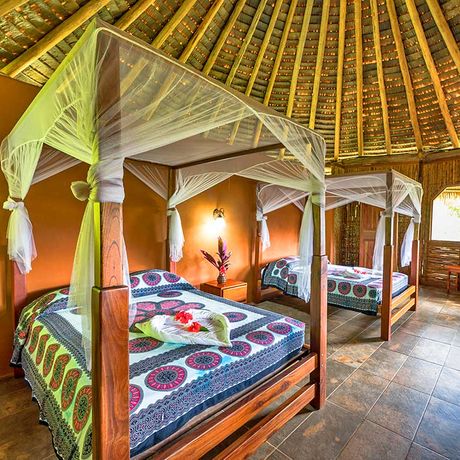 Blick auf zwei Betten im Bungalow der Dschungel-Lodge Luna Lodge 