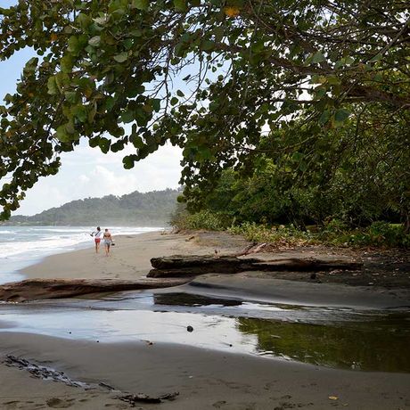 Die bunte Tier- und Pflanzenwelt eines der schönsten Nationalparks Costa Ricas