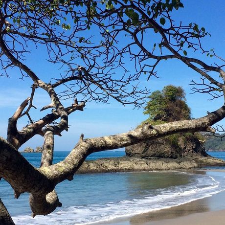 Schattenspendende Bäume verlängern Ihren Strandtag in Manuel Antonio