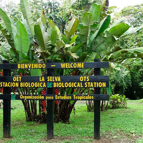 Blick auf das Eingangsschild der Biologischen Station La Selva