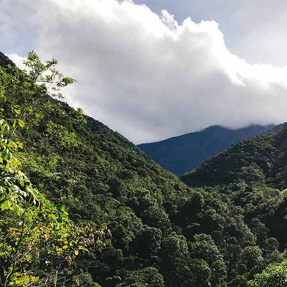 Cerro de la muerte