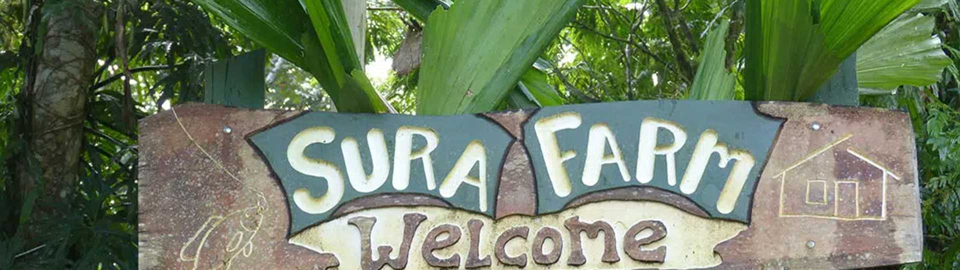 Finca Sura