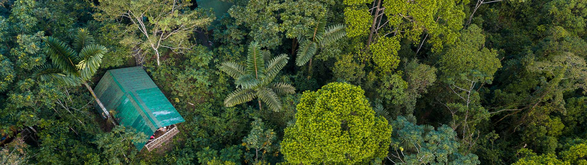 Hütte Wald Costa Rica