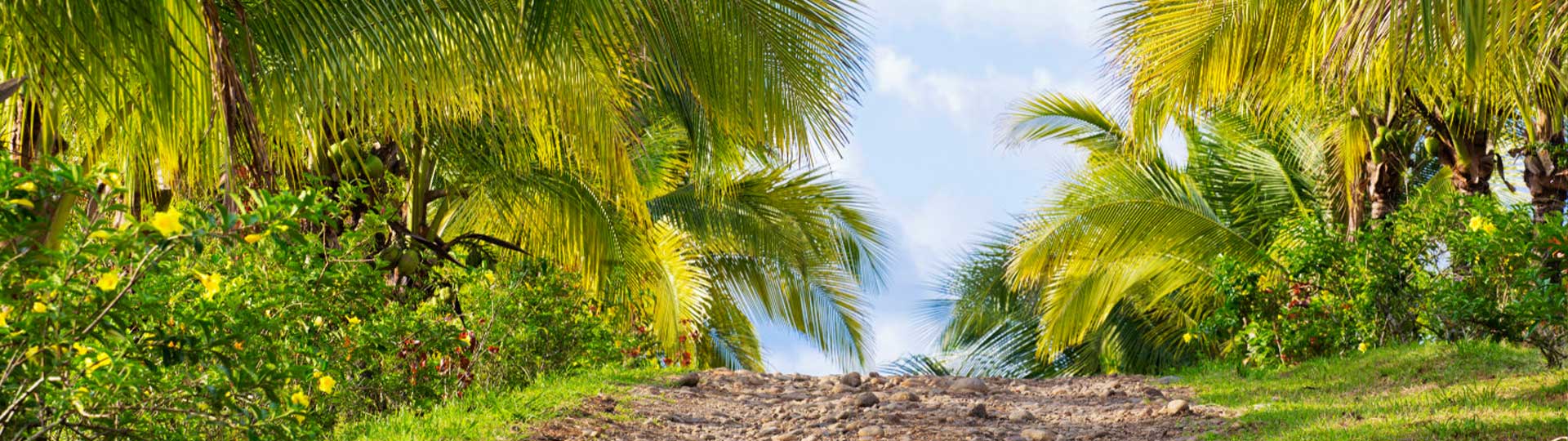 La Finca Lodge