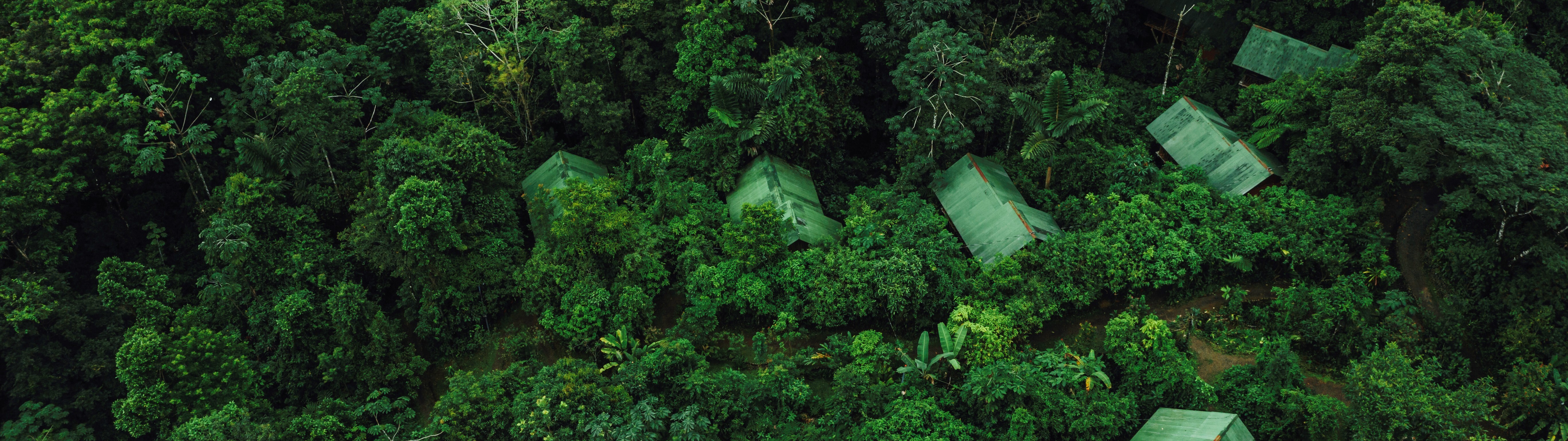 La Tigra Rainforest Lodge Banner