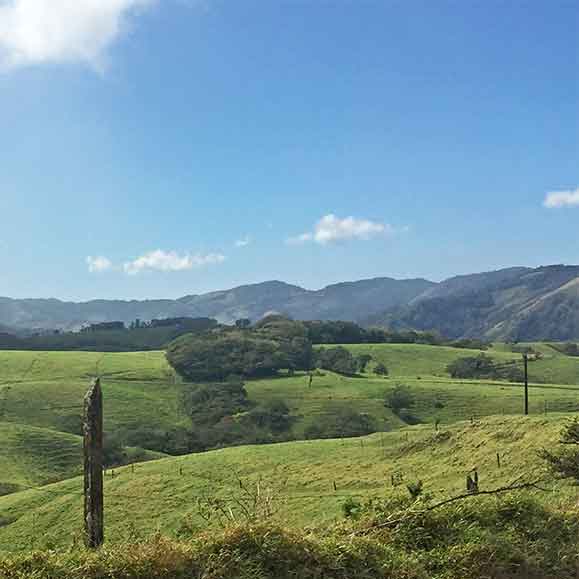 Rincón de la Vieja - Wälder und heiße Quellen