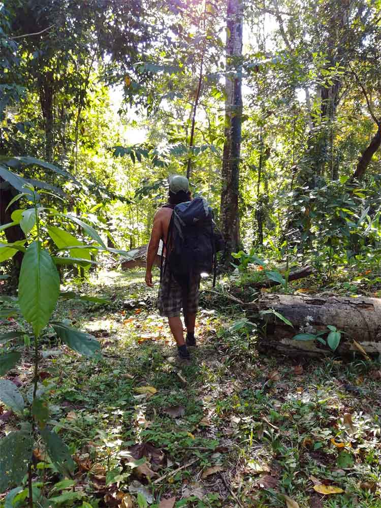 Schnorcheln und Wanderung im Nationalpark Cahuita 09