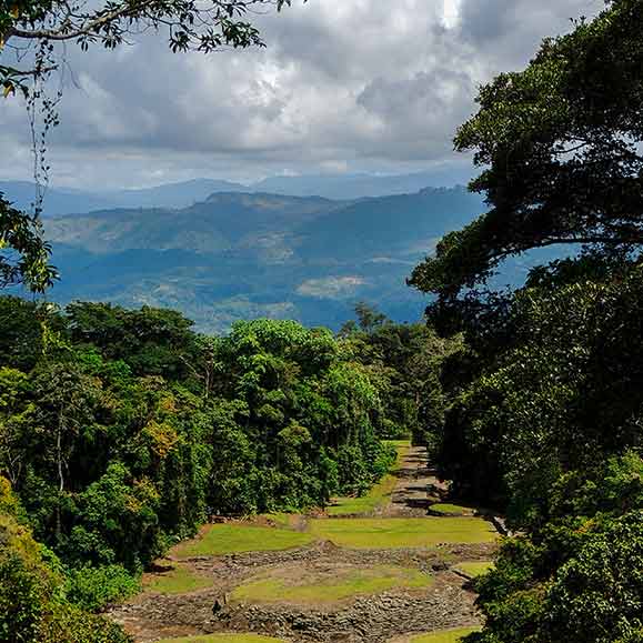 Vielfältiges Turrialba