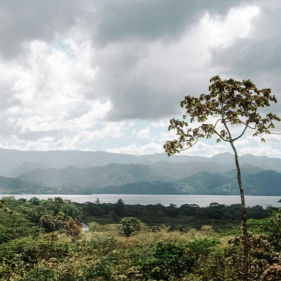 Wald und Berge Costa Rica