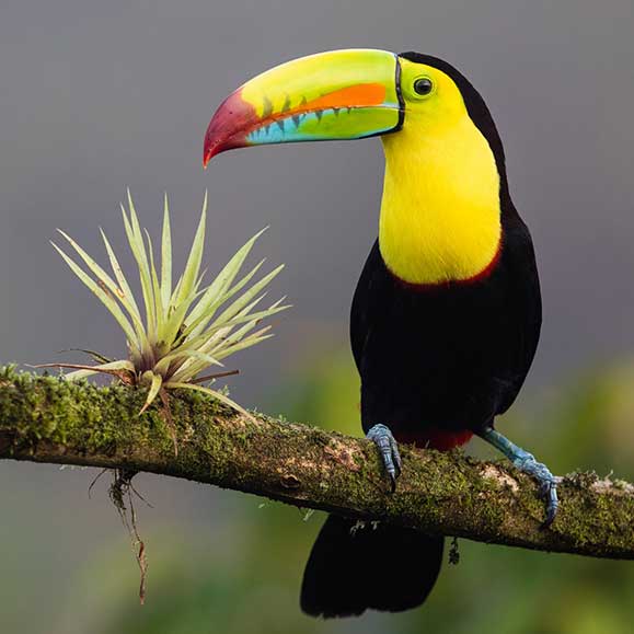 Willkommen in Costa Rica