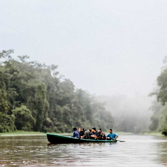 tortuguero - der amazonas costa ricas
